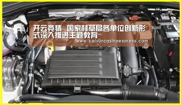 开云百家乐