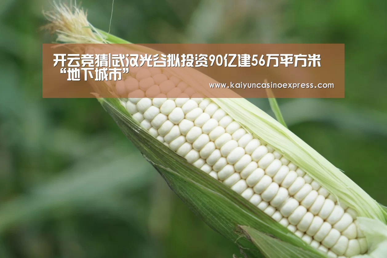 开云竞猜|武汉光谷拟投资90亿建56万平方米“地下城市”(图2) 开云百家乐
