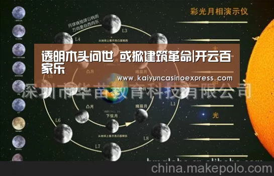 透明木头问世 或掀建筑革命|开云百家乐(图2) 开云百家乐