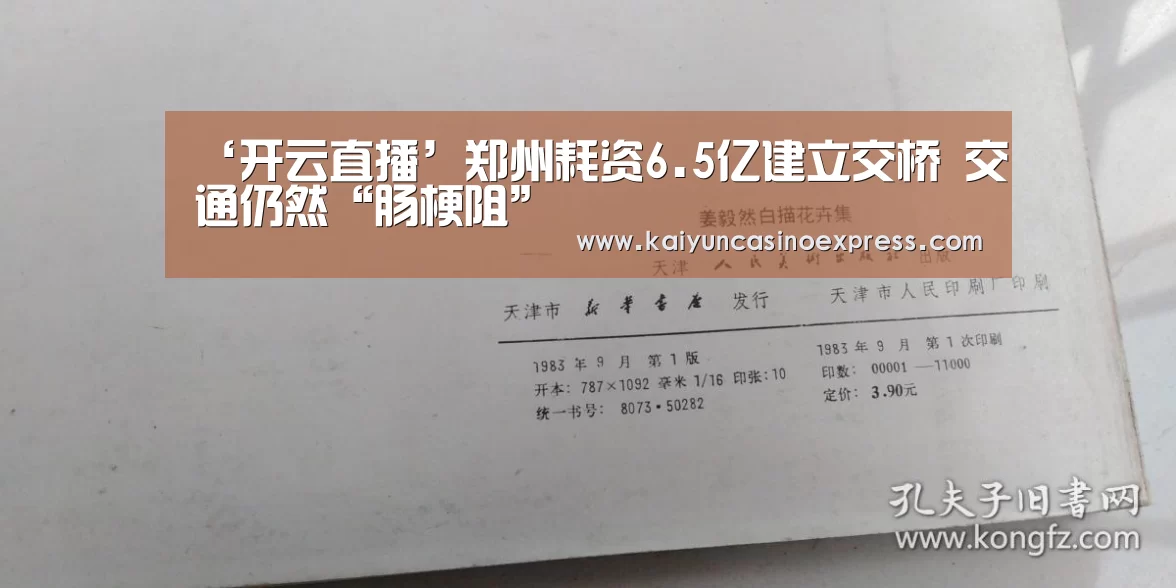 ‘开云直播’郑州耗资6.5亿建立交桥 交通仍然“肠梗阻”(图1) 开云直播