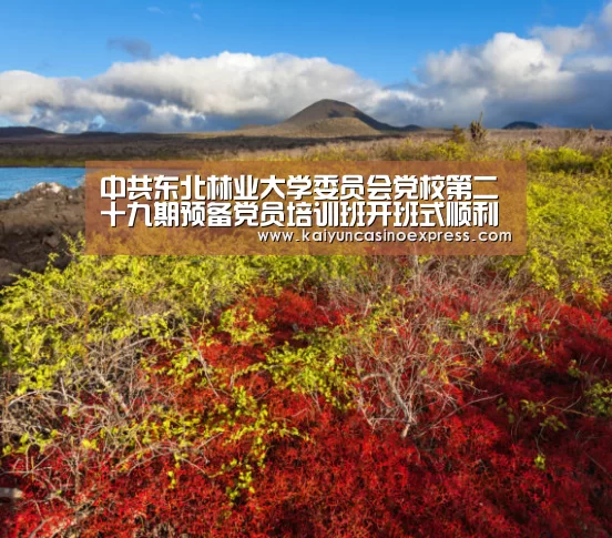 开云百家乐
