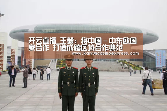 开云直播_王毅:将中国-中东欧国家合作 打造成跨区域合作典范(图4) 开云竞猜