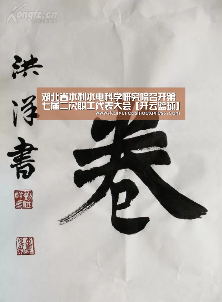 湖北省水利水电科学研究院召开第七届二次职工代表大会【开云篮球】(图2) 开云竞猜